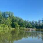 ​Park Tetmajera – kolejne zielone miejsce na mapie Krakowa