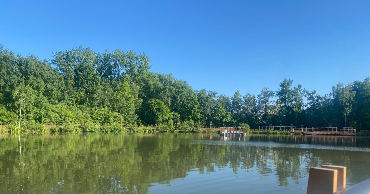 ​Park Tetmajera – kolejne zielone miejsce na mapie Krakowa