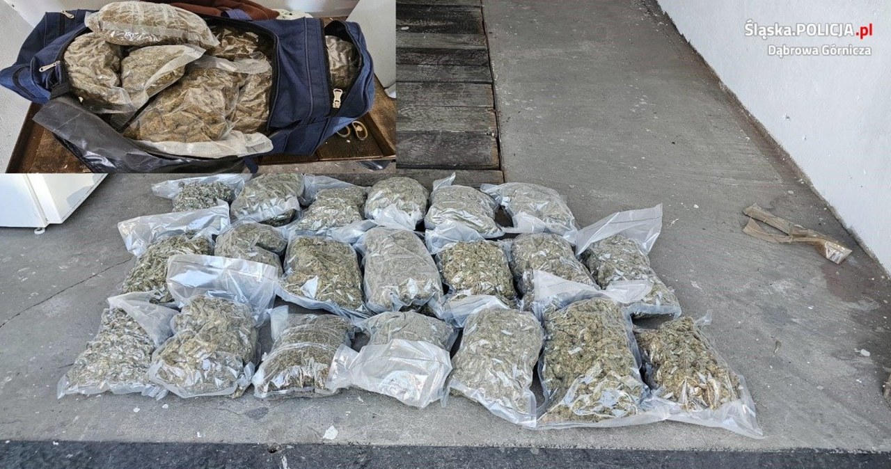 Narkotykowy diler zatrzymany. Policjanci przejęli 60 kg środków odurzających
