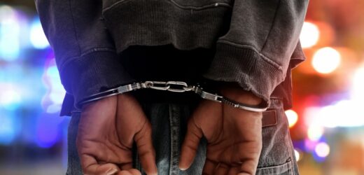 Kurier i nielegalni imigranci w rękach policji