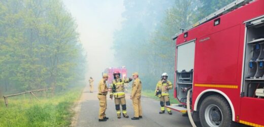 Płonął las koło Kielc. 16 zastępów i dwa samoloty w akcji