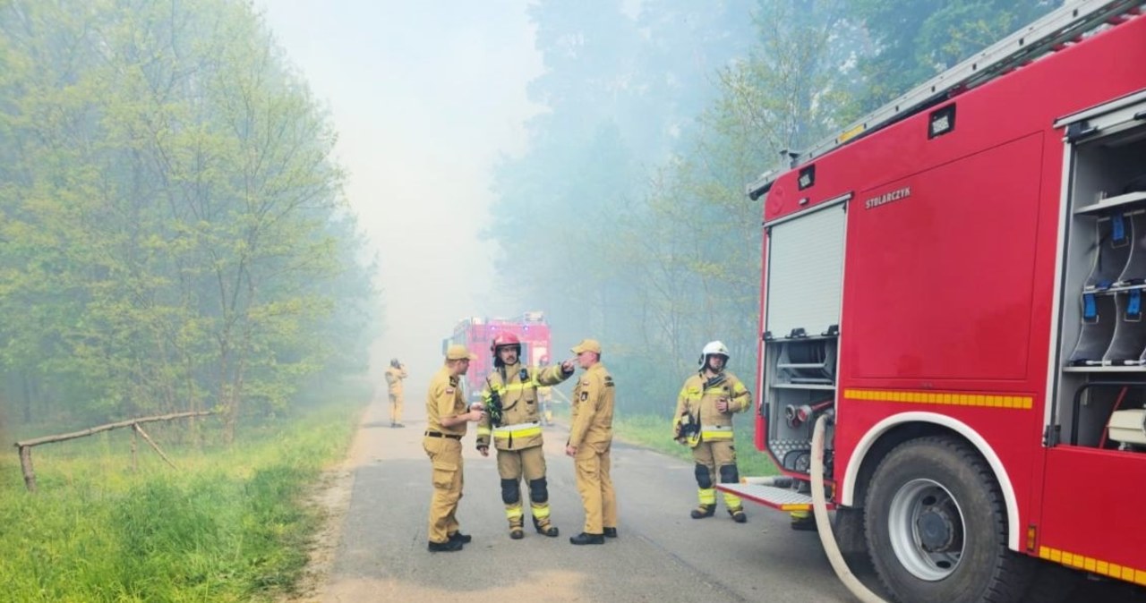 Płonął las koło Kielc. 16 zastępów i dwa samoloty w akcji