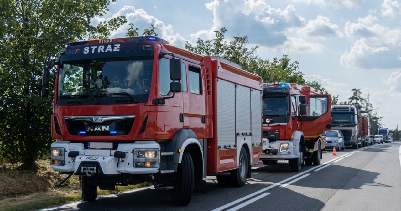 Pożar w lesie koło Torunia