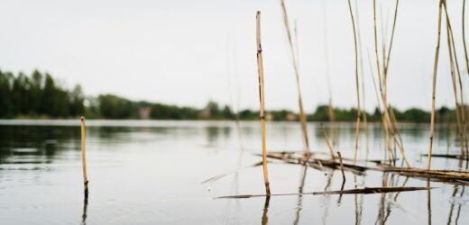 Tragiczny finał poszukiwań 68-latka z Hrubieszowa