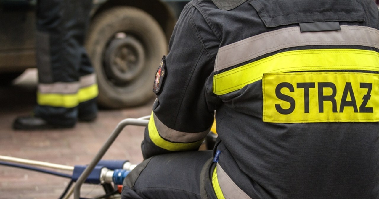 Spłonął prawie hektar nieużytków przy A2. Zaczęło się od pożaru busa