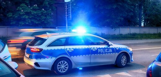 Ucieczka przed policją zakończona w przydomowym ogródku
