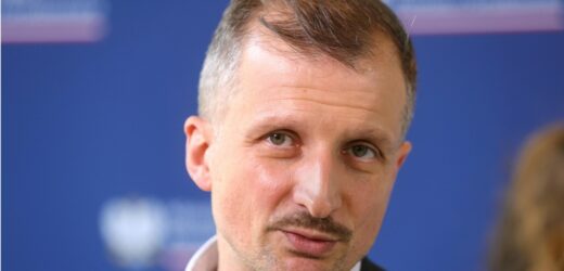 Audyt w Lasach Państwowych. Dorożała: Mamy już 100 mln zł nieprawidłowości