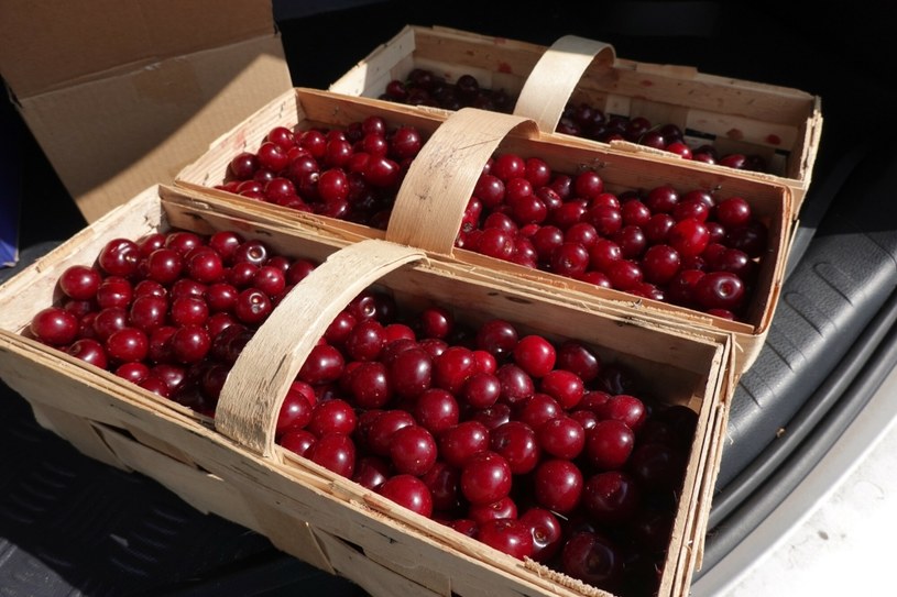 Superfoods z polskiego sadu. Te owoce odmłodzą organizm i ochronią przed chorobami serca