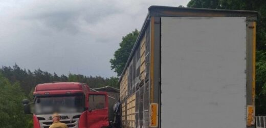 Zderzenie ciężarówek, jeden z kierowców zginął