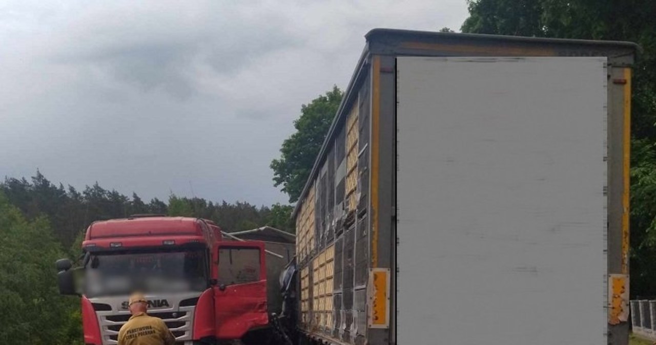 Zderzenie ciężarówek, jeden z kierowców zginął