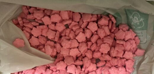 ​15 kg narkotyków przechowywał w walizkach i lodówce