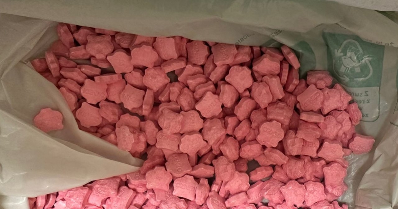 ​15 kg narkotyków przechowywał w walizkach i lodówce