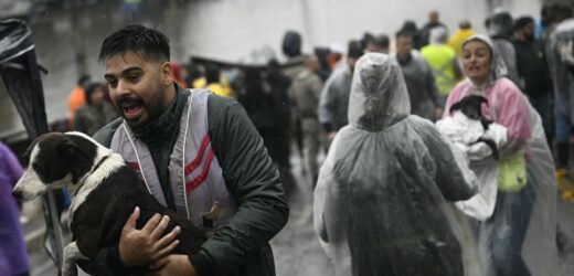 Podczas powodzi w Brazylii uratowano 12 tys. zwierząt