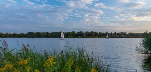 Mała Chorwacja zaprasza Polaków na nie lada wydarzenie. Piknik na Bagrach w Krakowie
