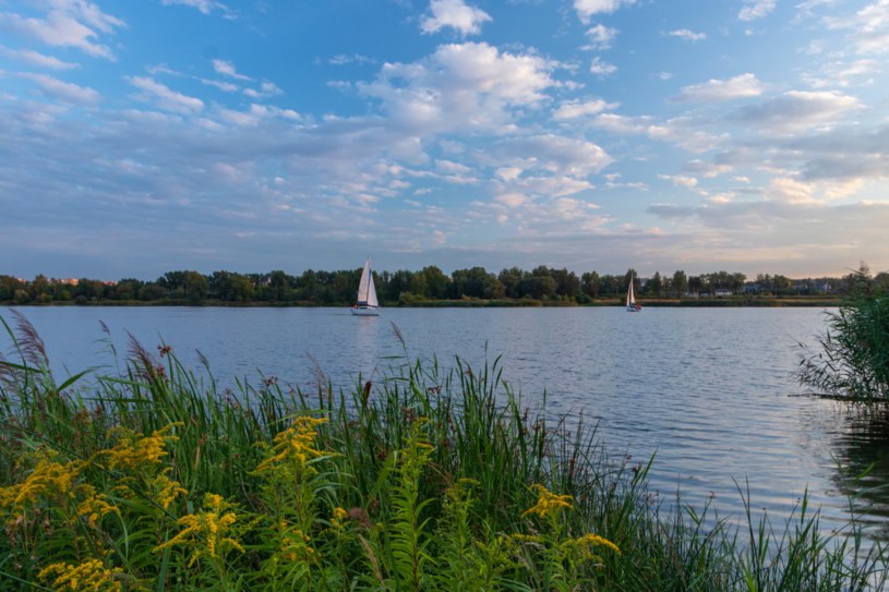 Mała Chorwacja zaprasza Polaków na nie lada wydarzenie. Piknik na Bagrach w Krakowie