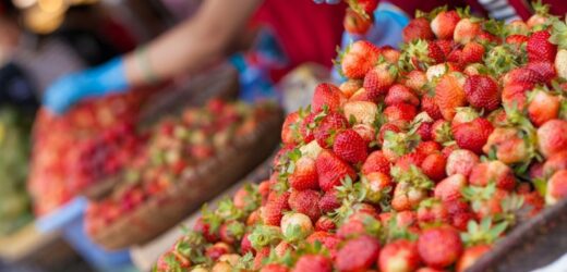 Kiedy kupować truskawki? Kluczowa jest pora dnia