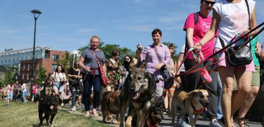 Święto adopciaków w Krakowie. XIV Marsz Azylanta