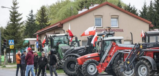 Co dalej z Zielonym Ładem? Kołodziejczak o tym, co byłoby na rękę Rosji