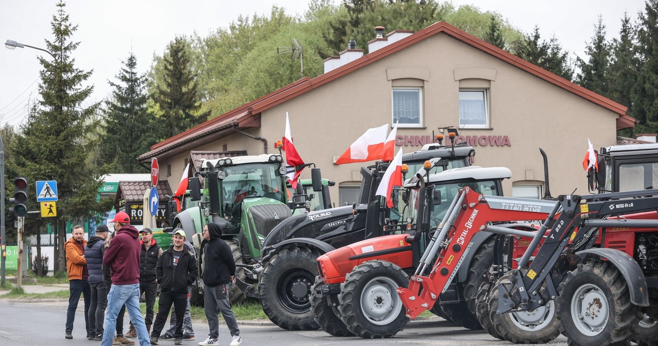 Co dalej z Zielonym Ładem? Kołodziejczak o tym, co byłoby na rękę Rosji