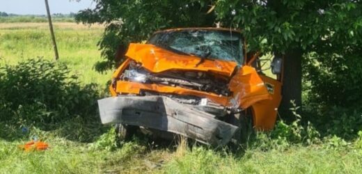 Wjechał ciężarówką w pojazd służby drogowej. Pięć osób rannych