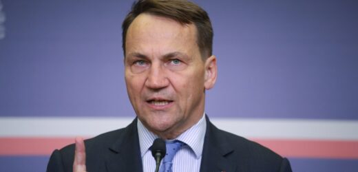 Sikorski przypomina polskim firmom: Omijanie sankcji jest przestępstwem
