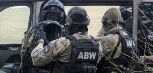 Seria podpaleń. Akcja ABW, wśród zatrzymanych Polak