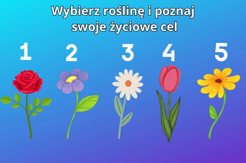 Psychotest: Wybierz roślinę i poznaj swoje życiowe cele