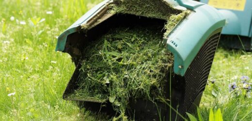 Po koszeniu nie wyrzucaj do śmietnika. W ogrodzie sprawdzi się na kilka sposobów