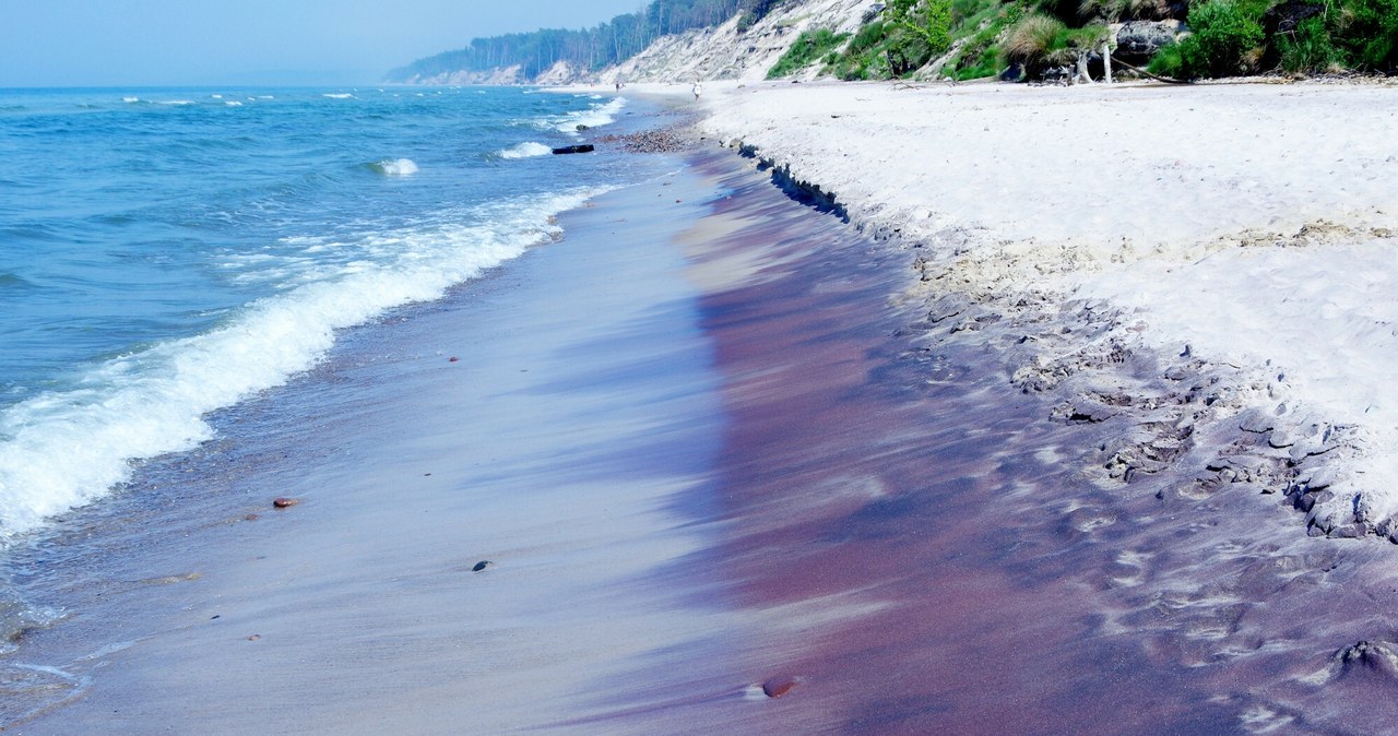 Cud natury w Pomorskiem. Piasek na plaży ma fioletowy kolor