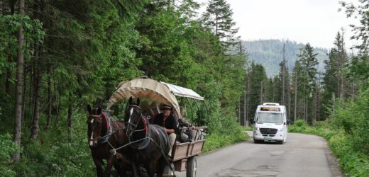 ​Zakończyły się testy elektrycznego busa na trasie do Morskiego Oka