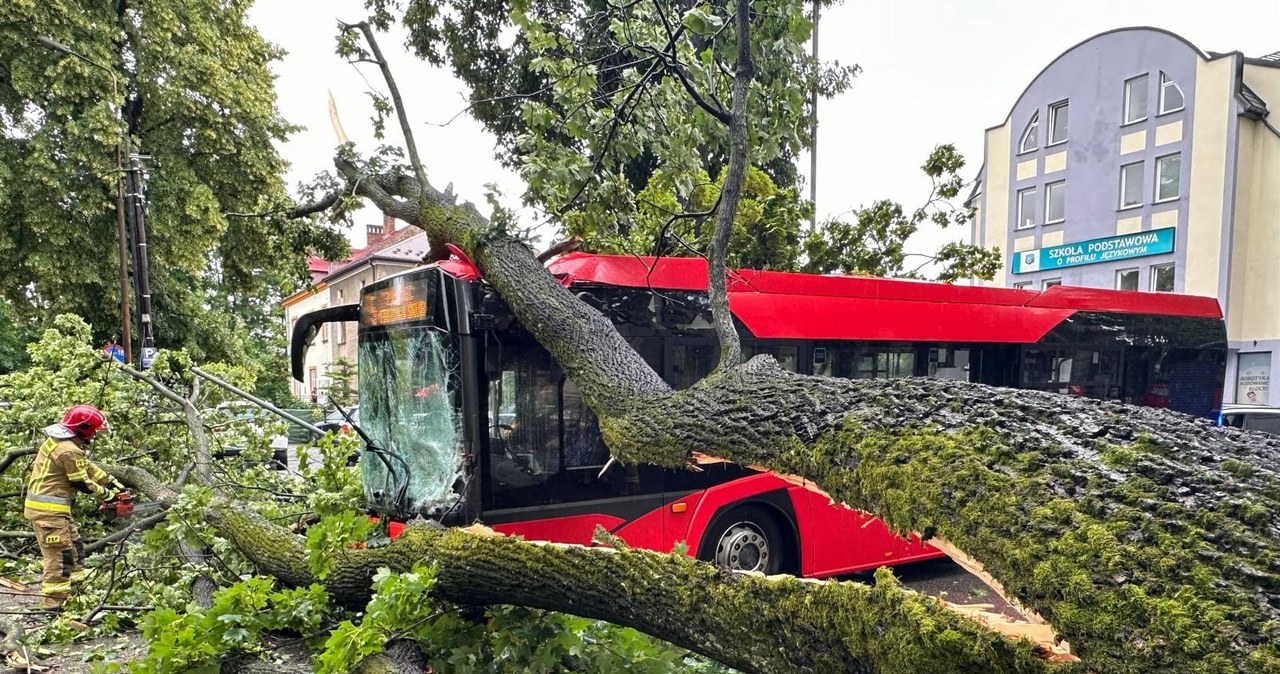Drzewo przewróciło się na autobus miejski w Żywcu. Są ranni