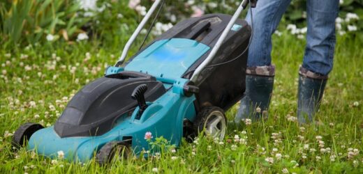 Koś trawę tylko o tej porze. Trawnik ci podziękuje. Będzie świeży i zielony