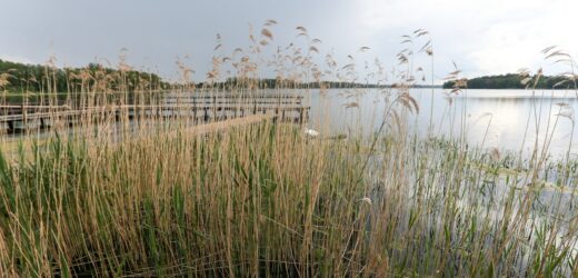 Sprawa kanibali znad jeziora Osiek. SN oddalił kasacje