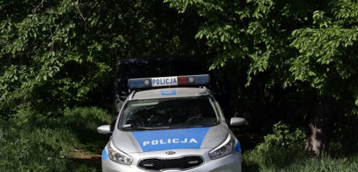 Wywieźli 18-latkę do lasu i kazali kopać grób