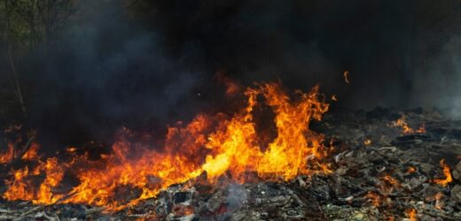 Pożar wysypiska w Wielkopolsce. Strażacy apelują do mieszkańców