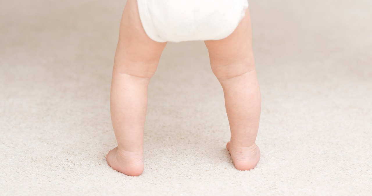 Czterolatek spacerował w pobliżu krajowej „16”