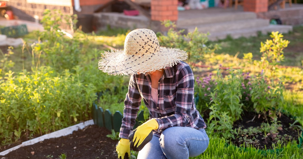 Władze Lublina zachęcają do zakładania ogrodów społecznych