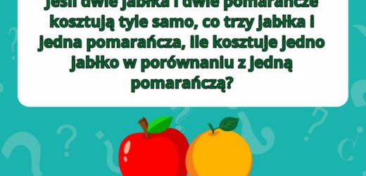 Test na logiczne myślenie dla dzieci. Pobudź szare komórki do myślenia