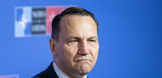 Sikorski: Polska chciałaby odbudować relacje z nową, demokratyczną Rosją