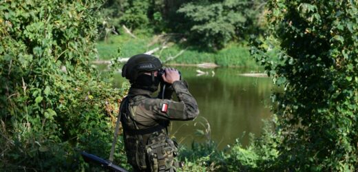 Sondaż „Rz”: Wojsko powinno używać broni wobec imigrantów na granicy