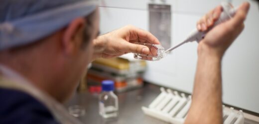 Duże zainteresowanie in vitro. Rządowe dofinansowanie przyciąga pary
