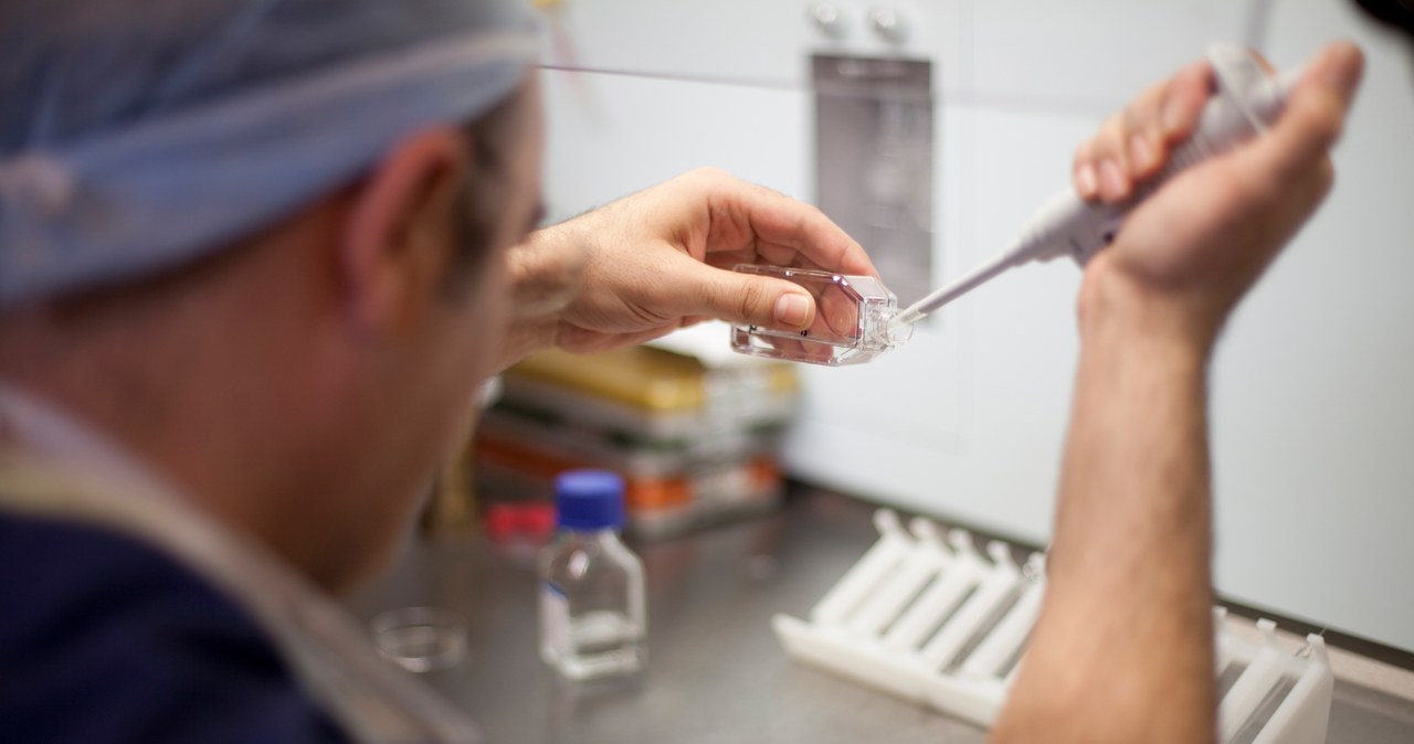 Duże zainteresowanie in vitro. Rządowe dofinansowanie przyciąga pary