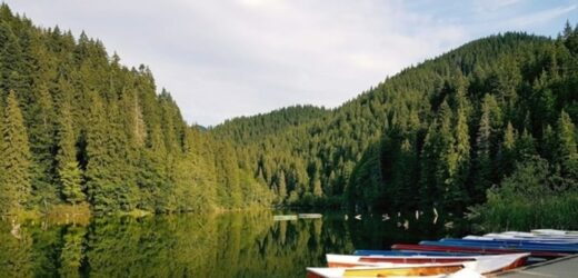 Nie wrócili ze spływu, kajaki porzucili. Służby: to kompletna nieodpowiedzialność
