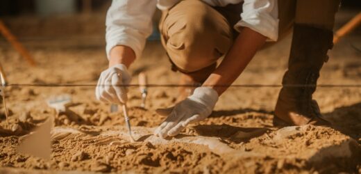 Sensacyjne znalezisko archeologiczne. Jak doszło do spotkania tych chłopców?