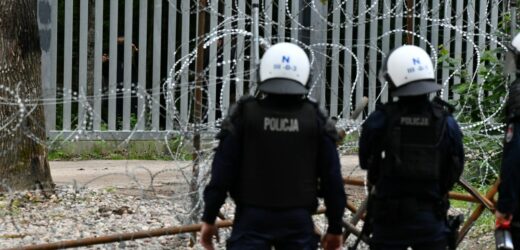 Kamieniami i konarami w policję. Migranci uszkodzili dwa radiowozy