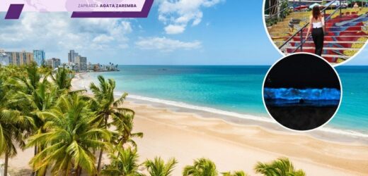 Podróże na własną rękę: Rajskie plaże, egzotyka i świecące neonową poświatą zatoki. Loty nawet za 1500 zł w dwie strony