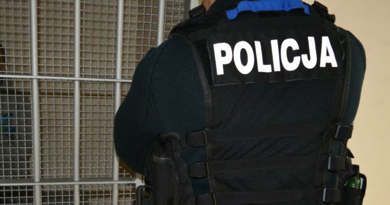Gdynia: Chciał zabić sąsiada tasakiem. Grozi mu dożywocie