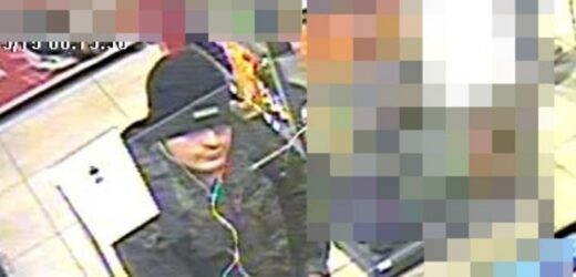 Podpalił rzeźbę na Saskiej Kępie. Szuka go policja [ZDJĘCIA]