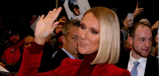 Céline Dion: Mogłam położyć się spać i przestać oddychać