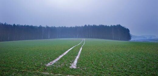 W PRL były hitem, czym dziś kuszą turystów — Bory Tucholskie